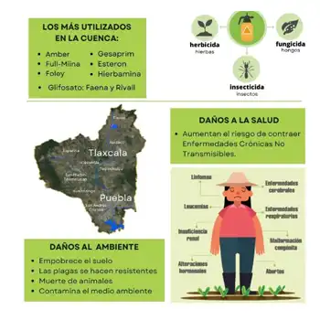 Infografía06