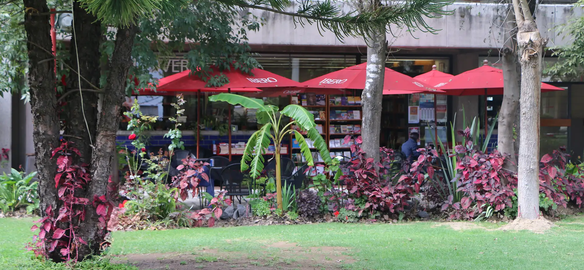 Exterior de la librería