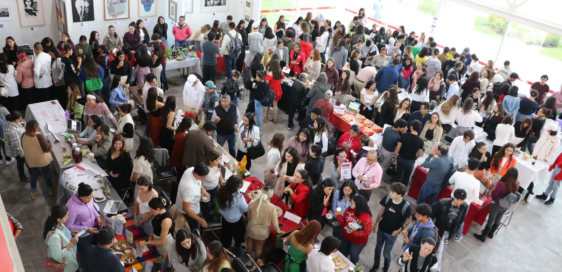 Foro alimentos