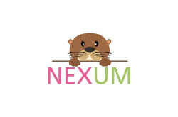 nexum