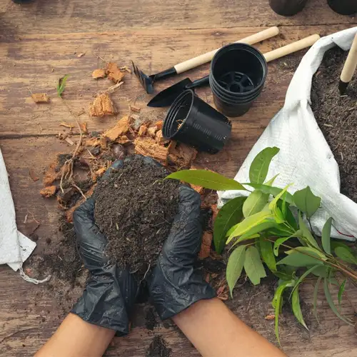 Manos plantando y herramientas