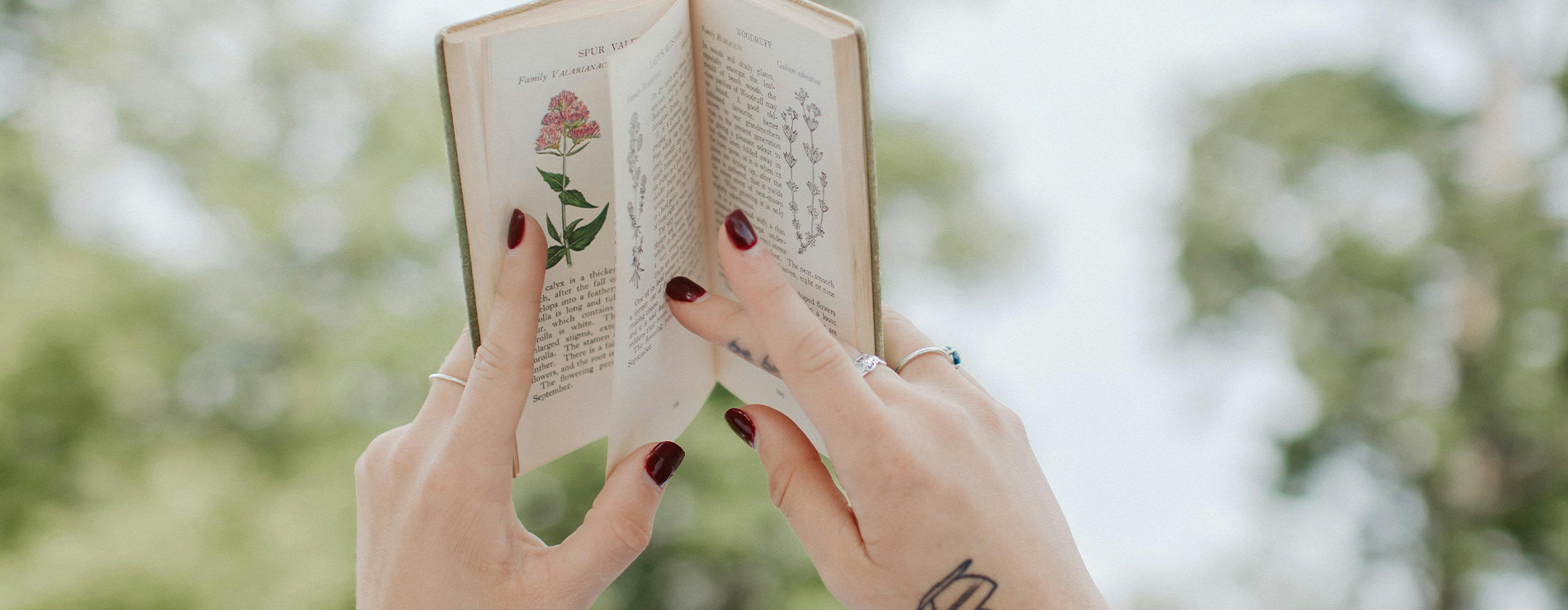 Libro y manos de una mujer