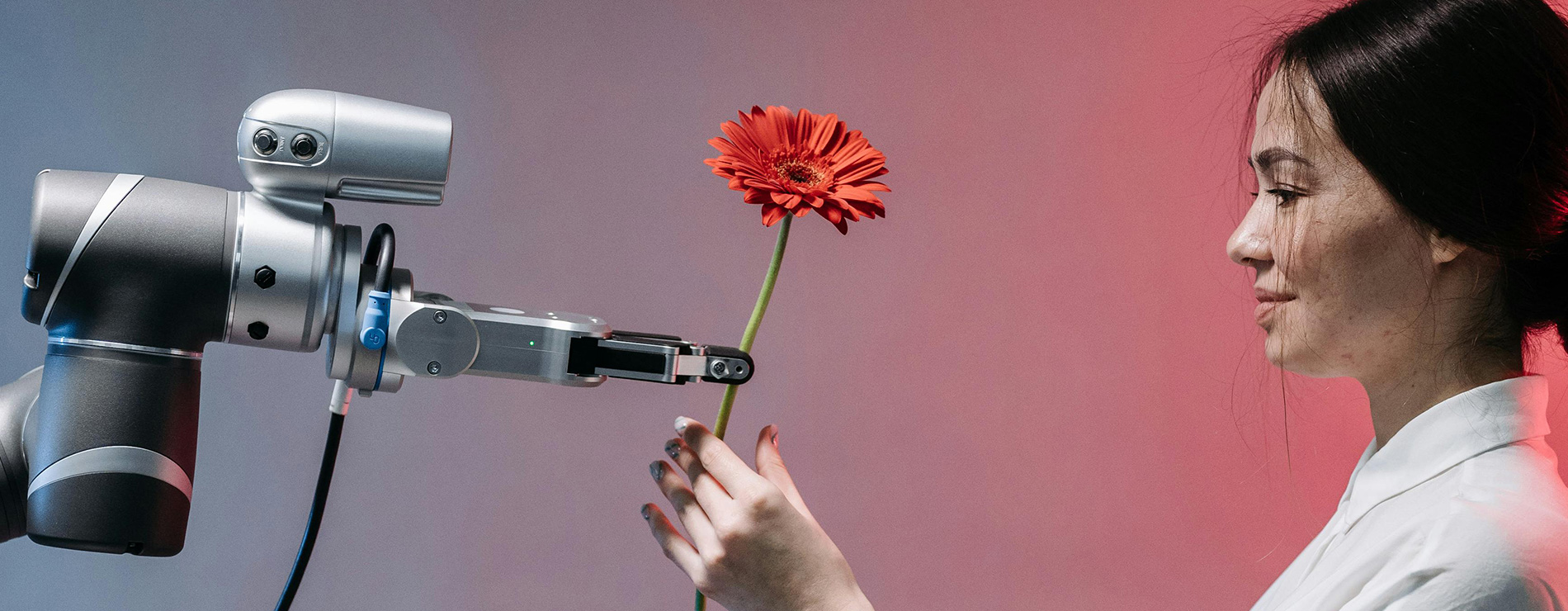 Robot dando una flor a una chica