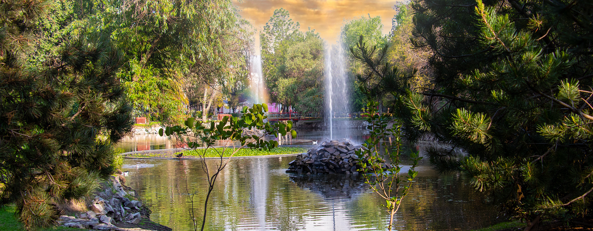 Lago Ibero Puebla