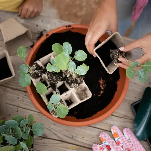 Personas y plantitas