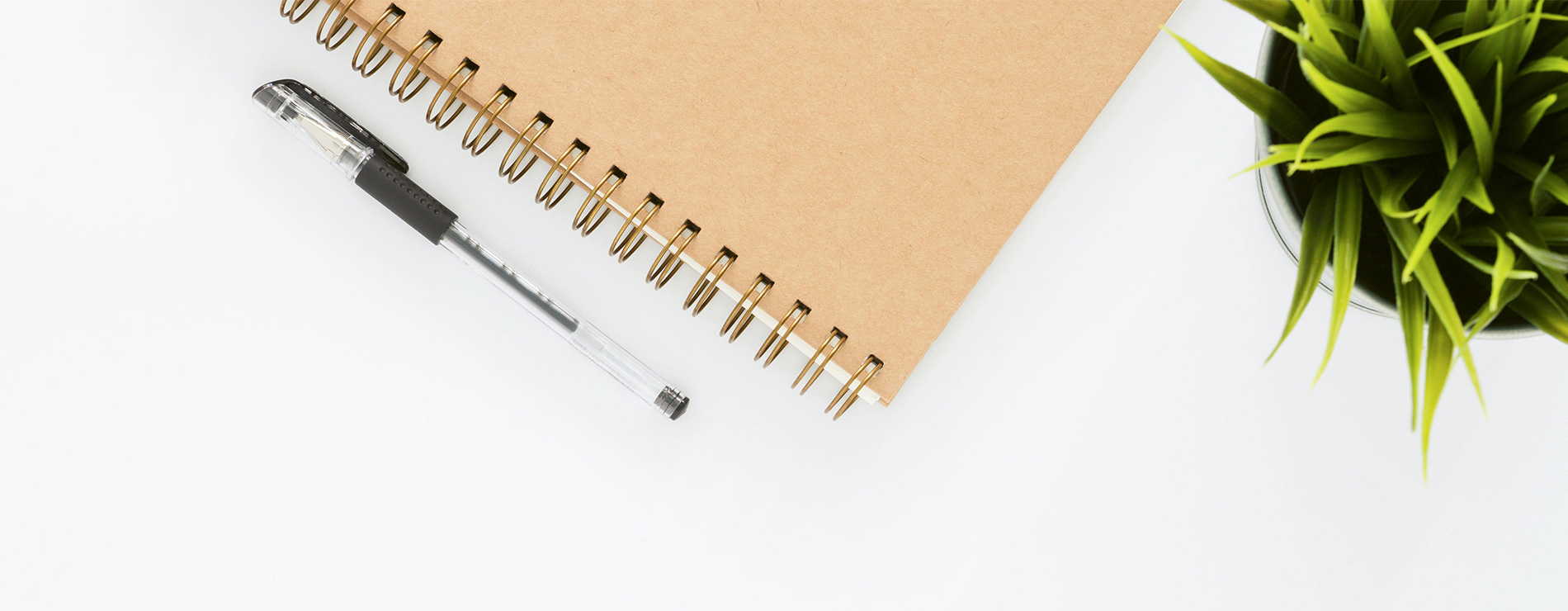 Libreta y pluma y planta
