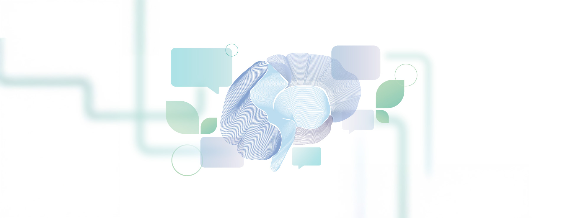 brain
