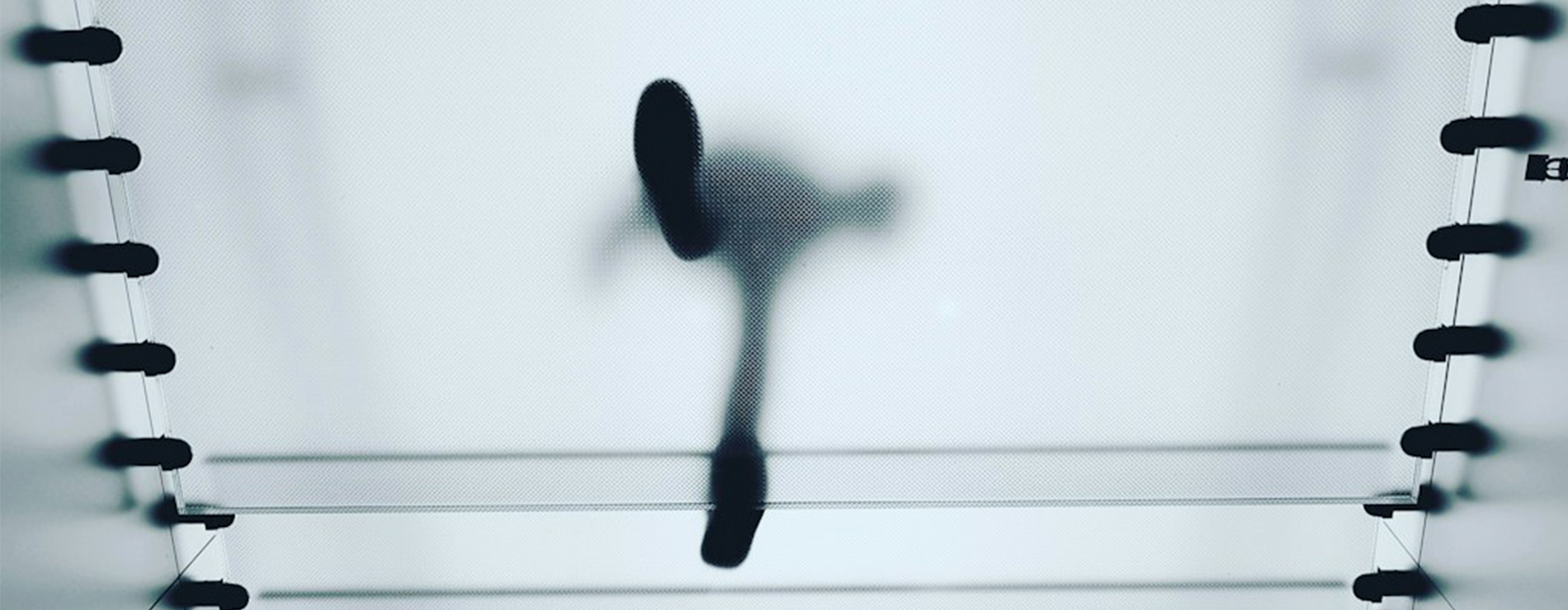 Transparencia
