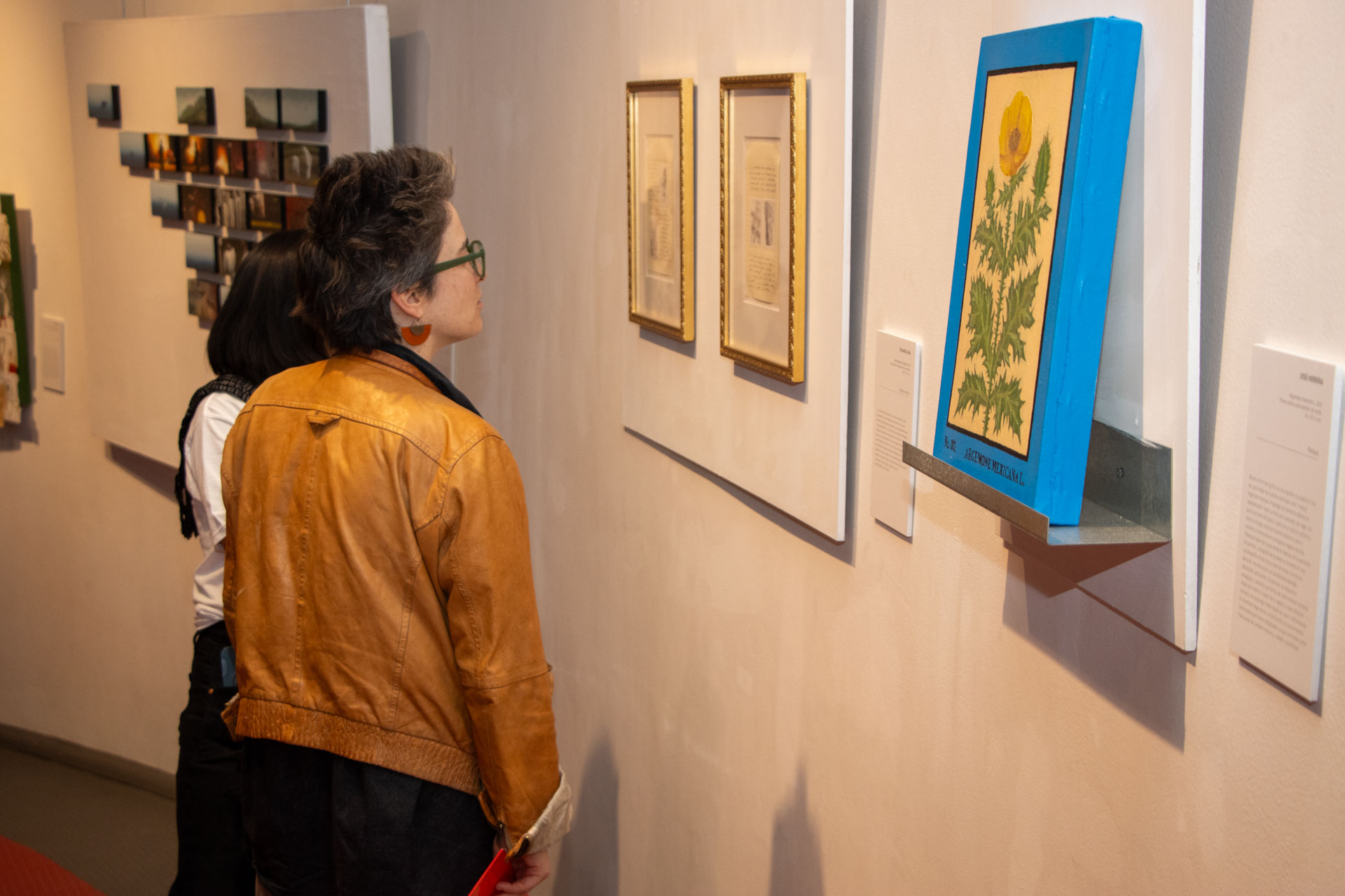 Bienal IBERO Puebla 2025