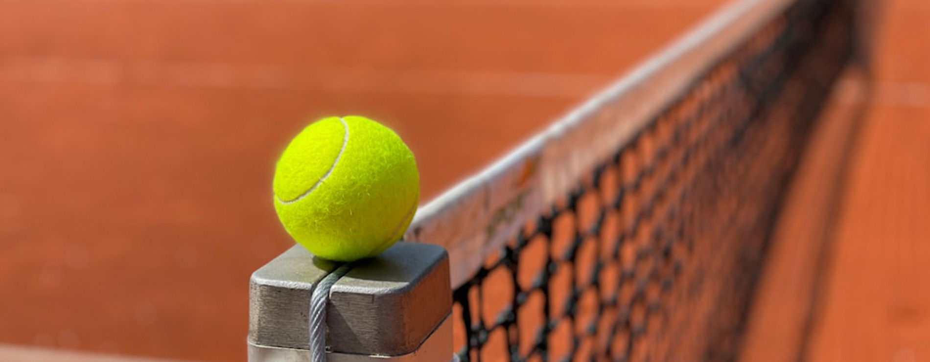 pelota tenis sobre la red