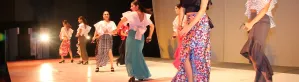 Flamenco